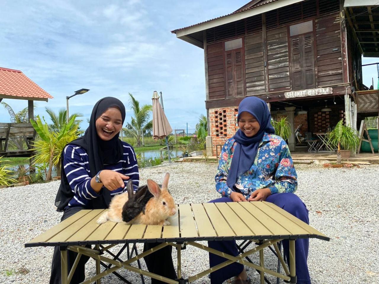 Dangau Sala D'Kontena Alor Setar Extérieur photo